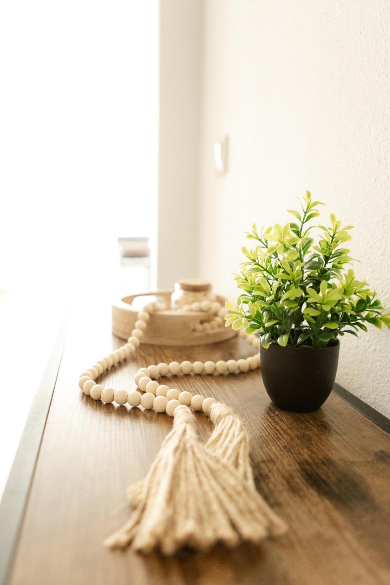 Neu, Superior Apartment 229, Im Oberharz, Mit Sauna & Schwimmbad, Entspannung Pur Braunlage Ngoại thất bức ảnh